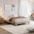 Platform Bed Frame with Wood & Metal Slats, 10.2" Underbed Storage, Easy Assembly,-434061191-434061193