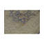 Ziegler Hand Woven Wool Oriental Area Rug