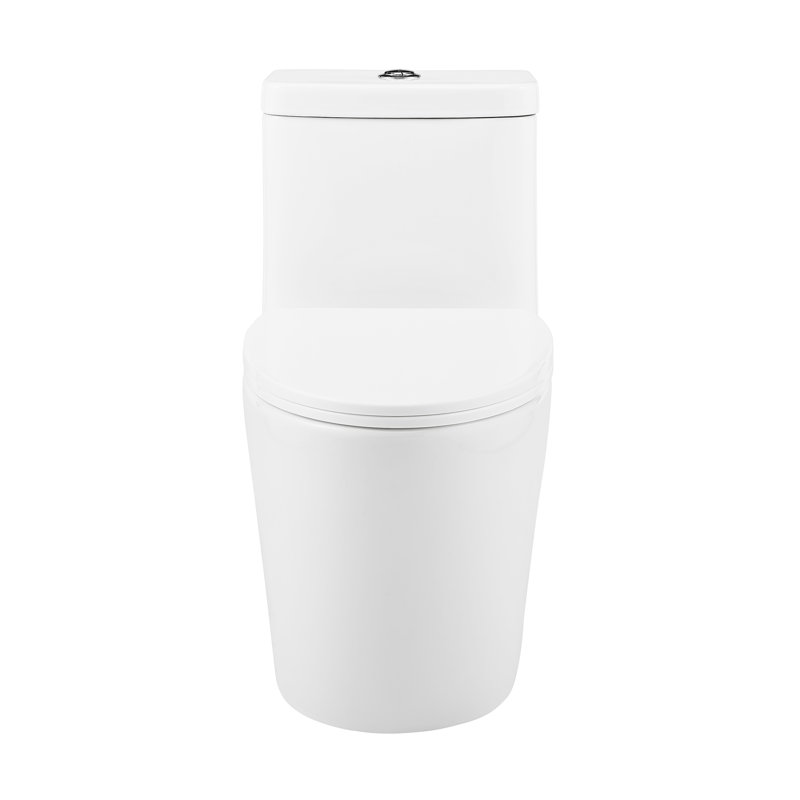 Fulton Glossy White Ceramic One-Piece Elongated Dual-Flush Toilet