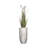 68'' Faux Reed Plant in Fiberstone Planter