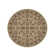 Daleisha Performance Oriental Indoor Rug