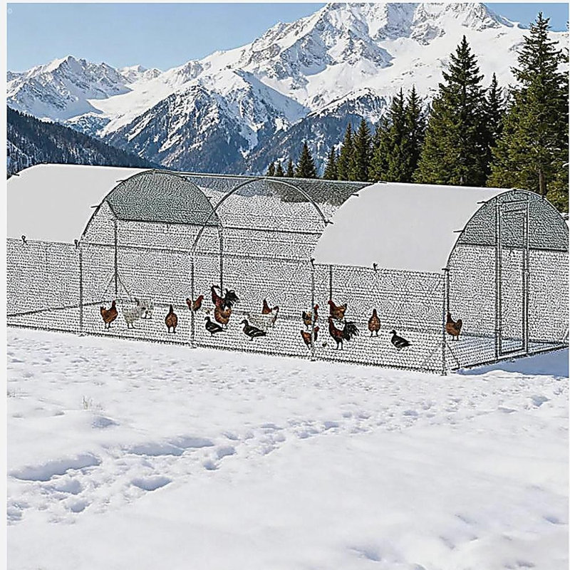 Grand poulailler en métal pour jardin, extérieur, canard, lapin 9,2 po x P 24,9 po x H 6,5 po