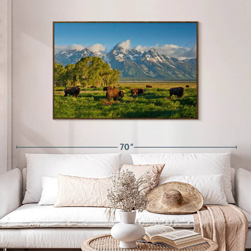 Bison de Grand Teton, 46 po x 31 po, Cadre flottant noyer