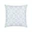 Bakuba Square Indoor/Outdoor Pillow Cover & Insert-609966364-609966365