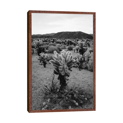 Cholla Cactus Garden V by Bethany Young - Print on Canvas