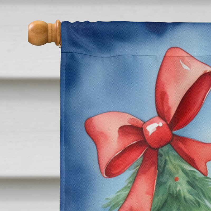 Drapeau de Noël maison de renne, Boxer