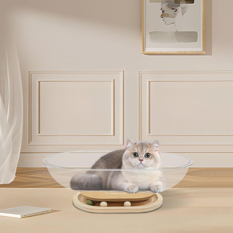 Lit pour chat avec capsule en acrylique - Bubble Lounge transparent, H 6,69 po x l 21,26 po x P 12,99 po