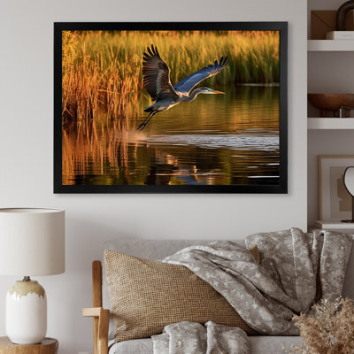 " Heron In Delaware Lakes "