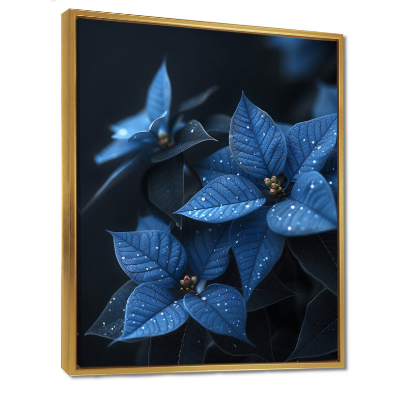 «Blue Poinsettias Nocturnal Nirvana» - impression d'art mural poinsettias, Toile avec cadre flottant or