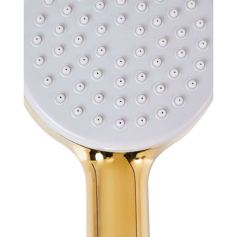 Shower Head and Hose Kit AYPATE, Gold