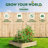 Katsuyoshi Wood Raised Garden Bed-689863013-689863012