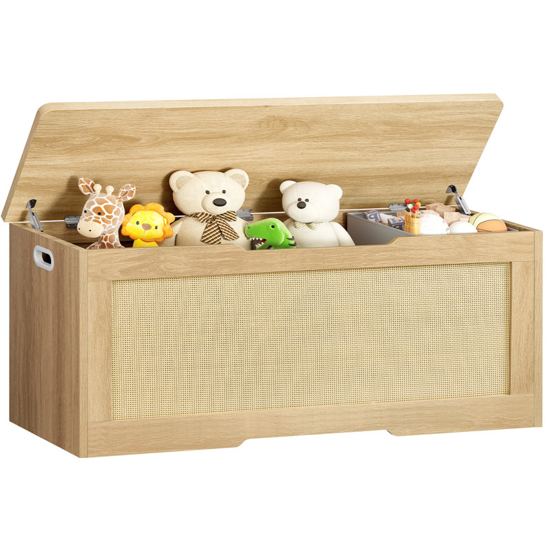 Coffre de rangement en rotin Bambina, H 19,49 po x l 47,24 po x P 15,75 po, Bois naturel