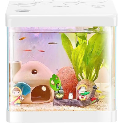 5 Gallon Glass Small Fish Tank,Betta Fish Tank With Filter And Light(Tank+Air Pump+Sponge Filter+Light),White Aquarium Starter Kit.