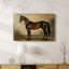 Animaux, paysage, série CXCV III-223090122