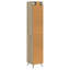 2 -Door 4 Storage Cabinet-1989099403