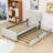 Elegant Velvet Upholstered Bed with Twin Trundle-1428852804-1428852806