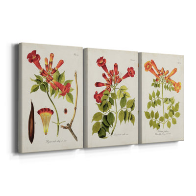 Tropical Trumpet Flowers I  -Custom Wrapped Gallery Canvas - 3 Pieces