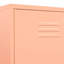 Alazhia Steel Wardrobe-2118603184