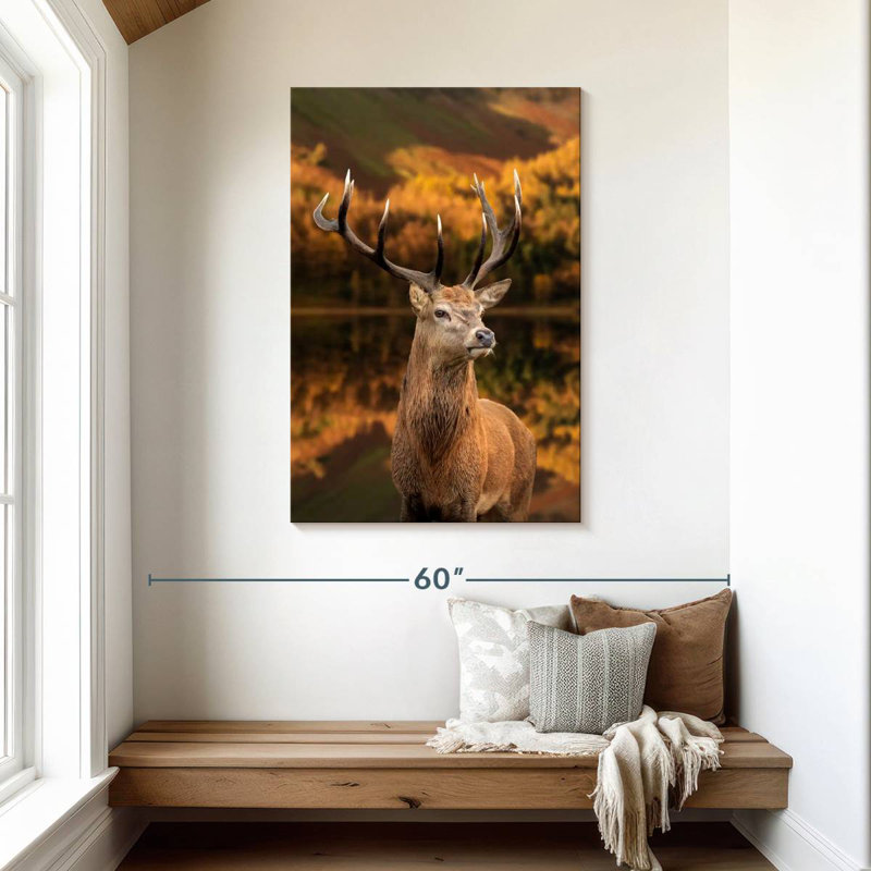 Cerf puissant Brampt, H 45 po x l 30 po