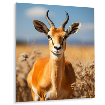 " Graceful Antelope I "