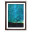 Arizona Tree Beneath The Stars - Single Picture Frame Painting on MDF-56924800-56924799