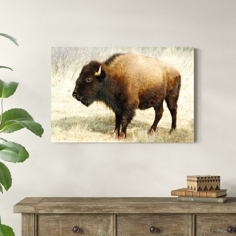Bison d'Amérique III, H 24 po x l 36 po