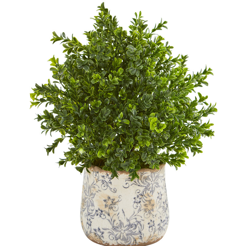 Herbe de feuillage doux dans un vase décoratif