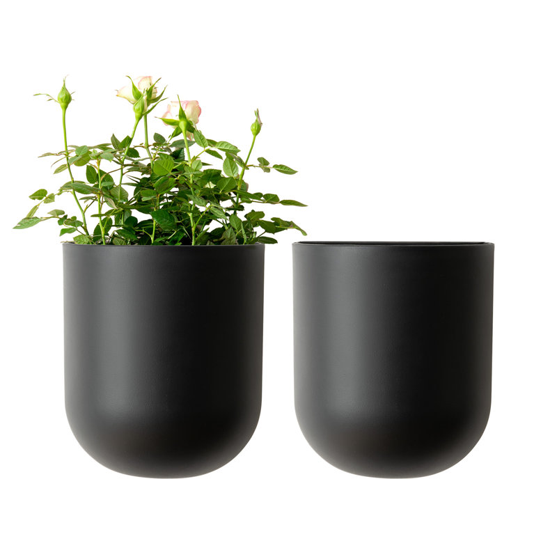 Elayna Venus 2 - Piece Plastic Wall Planter Set, Black