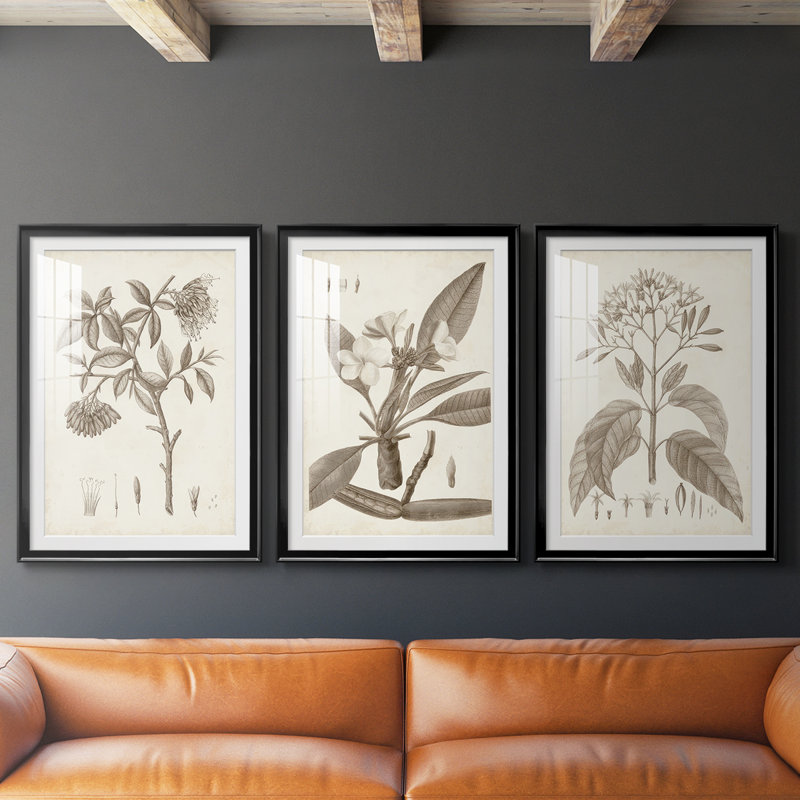 Antique sépia botanicals I - impression encadrée sur mesure de qualité supérieure - 3 pièces, H 21 po x l 30 po, Noir