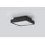 Plafonnier Patrol Q, 15 W, finition noire