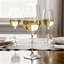 400ml White Wine Glass-125018819