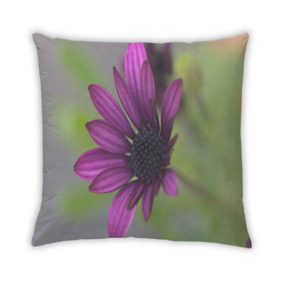 Coussin 61 couleurs Color Focus