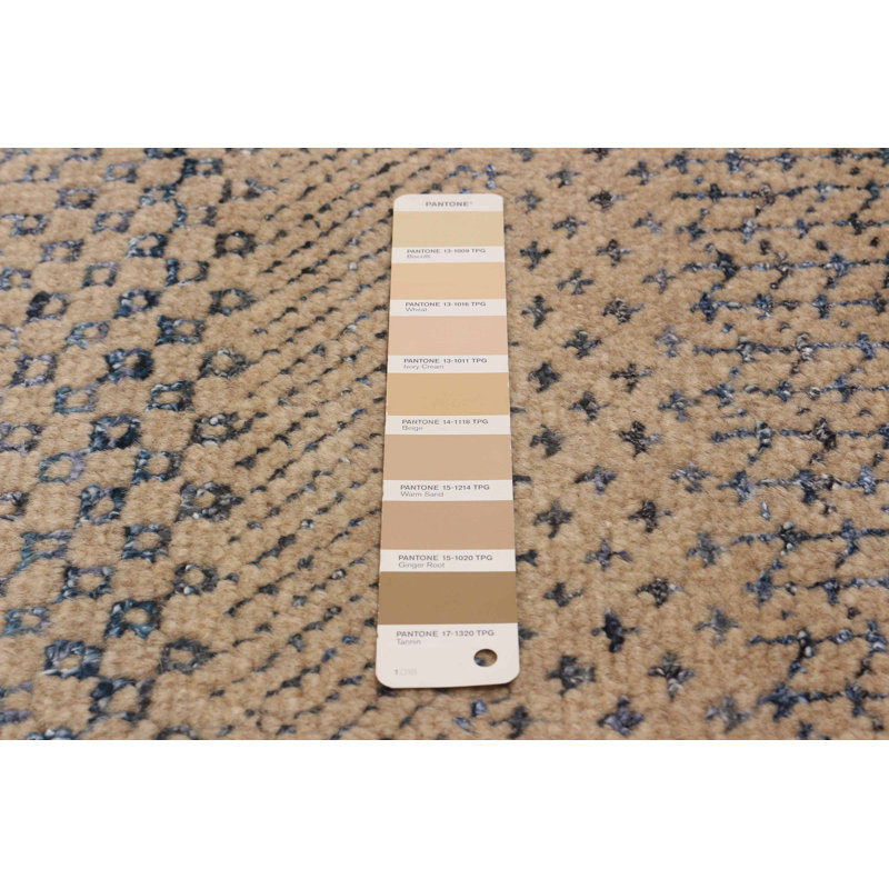 Silk Shadow Tan Rug 9'1" x 12'1"