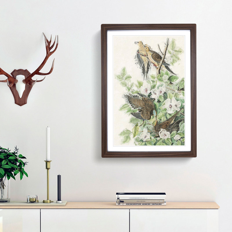Carolina Pigeons by John Audubon - Picture Frame Painting Print, Walnut Framed, 36cm H x 27cm W x 2cm D