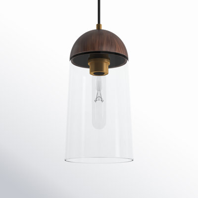 Tabitha Single Light Clear Glass Dimmable Pendant