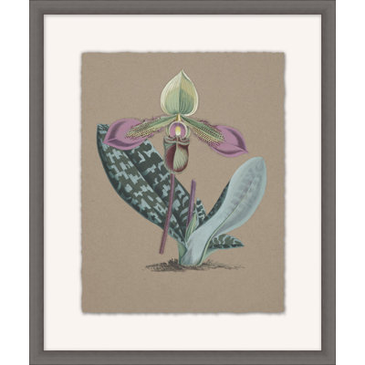 Orchid Study 5 Painting