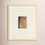 Mid Century Monoprints Print
