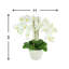 Organic Modern Orchid Arrangement in Ceramic Vase