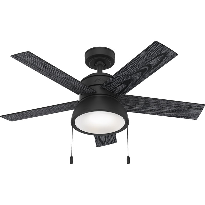 Ventilateur de plafond standard à 5 pales de 44 po avec lumières et chaînes de traction Lilliput, Noir avec pales noires