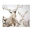 Deer Family Painting by Mia Malcolm Studio-26729149-26729148