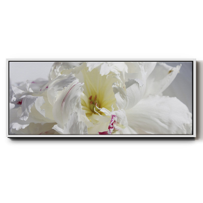 Breathless IV- Framed Canvas, 20" H x 50" W