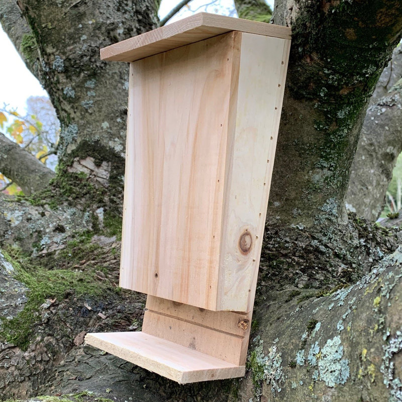 Izaguirre Mounted Bat House