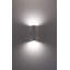 Cecelia 2-Light Up & Downlight