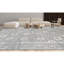 Oriental Area Rug