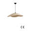 1 - Light Chandelier