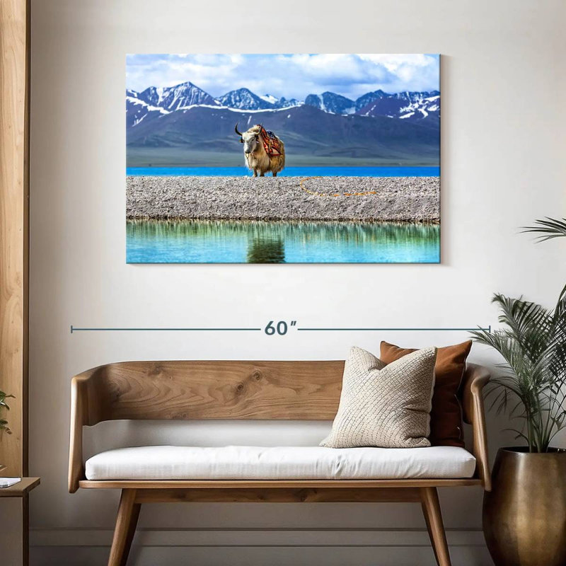 Yak In Namtso Lake