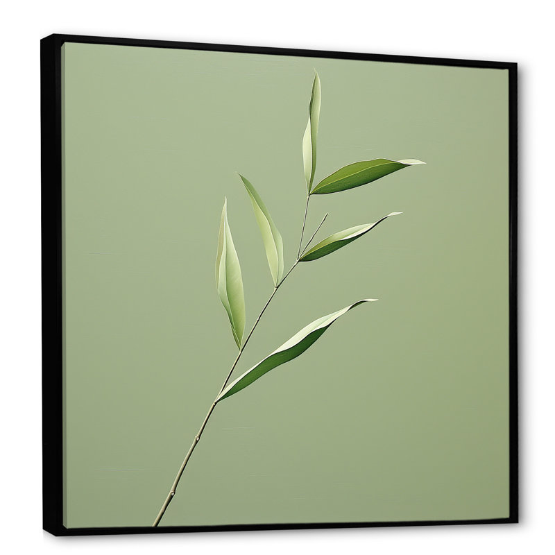 Simplicité dans les feuilles de sauge II, Cadre flottant noir, H 36 po x l 36 po x P 1,5 po