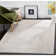 Calidia Oriental Light Gray/Cream Area Rug