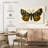 Brampt Natures Butterfly V-107852152