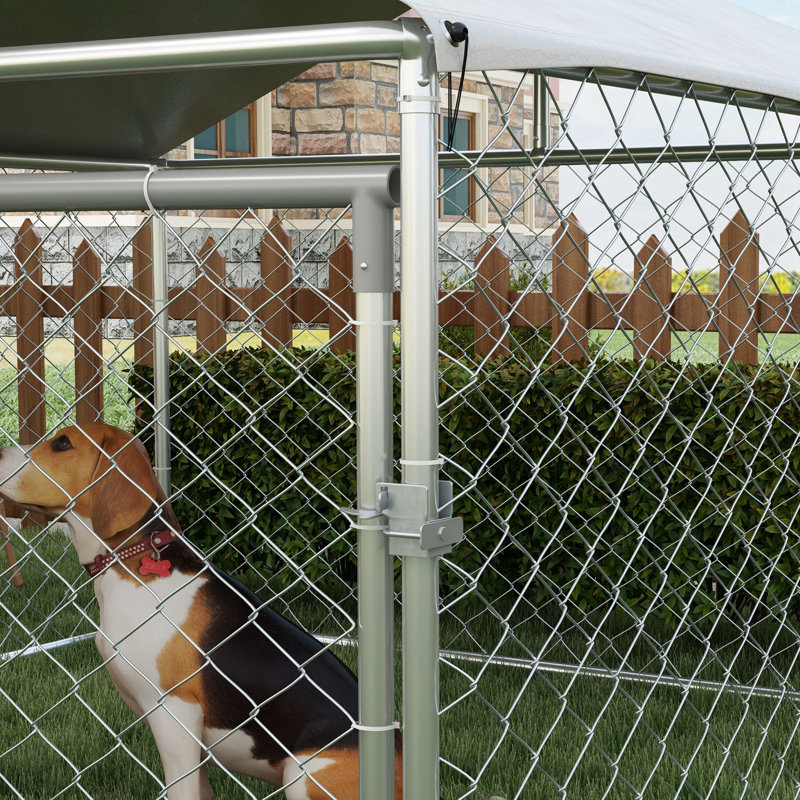 Dog Pen, 59" H x 79" W x 79" D